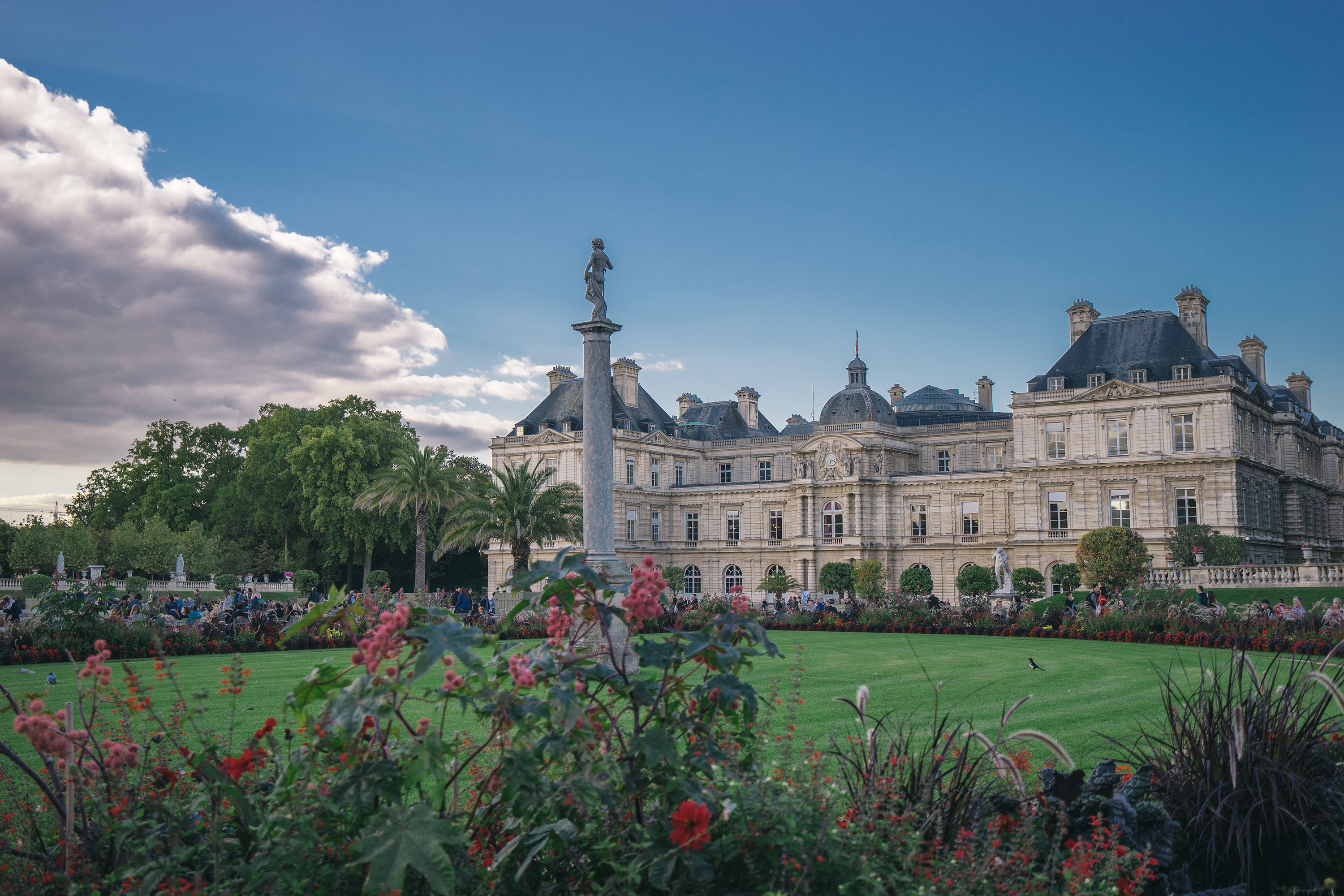 my cool landscape image